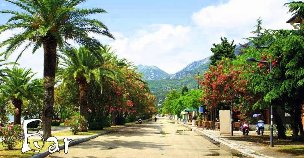 Апартаменты Near the sea Бар