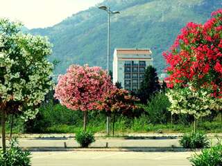 Апартаменты Near the sea Бар Апартаменты-16