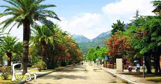 Апартаменты Near the sea Бар Апартаменты-22