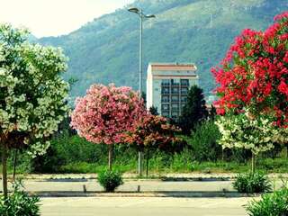 Апартаменты Near the sea Бар Апартаменты-41